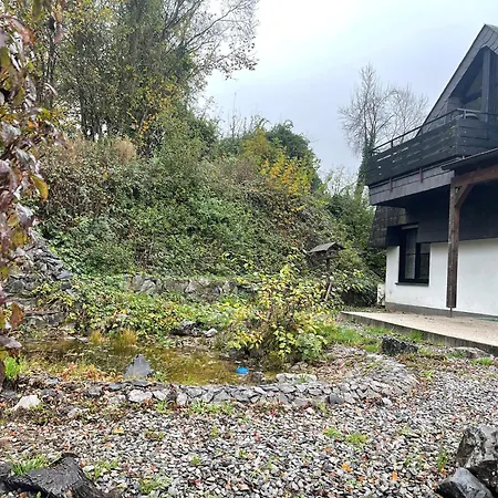 Apartment Gehobene Mit Grosser Terrasse Eigenem Garten Und Teich Ideal Sich Wohl Zu Fuehlen Hadamar