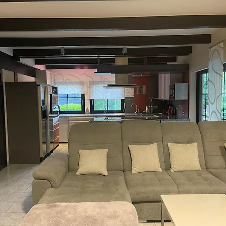 Gehobene Drei Mit Esszimmer Und Kamin Mit Ueberdachter Terrase Und Dem Teich Idyllisch Sich Zu Erholen Apartman
